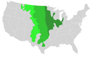 800px-US_Great_Plains_Map.svg
