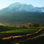 Chimborazo and Fields Near Calshi-1