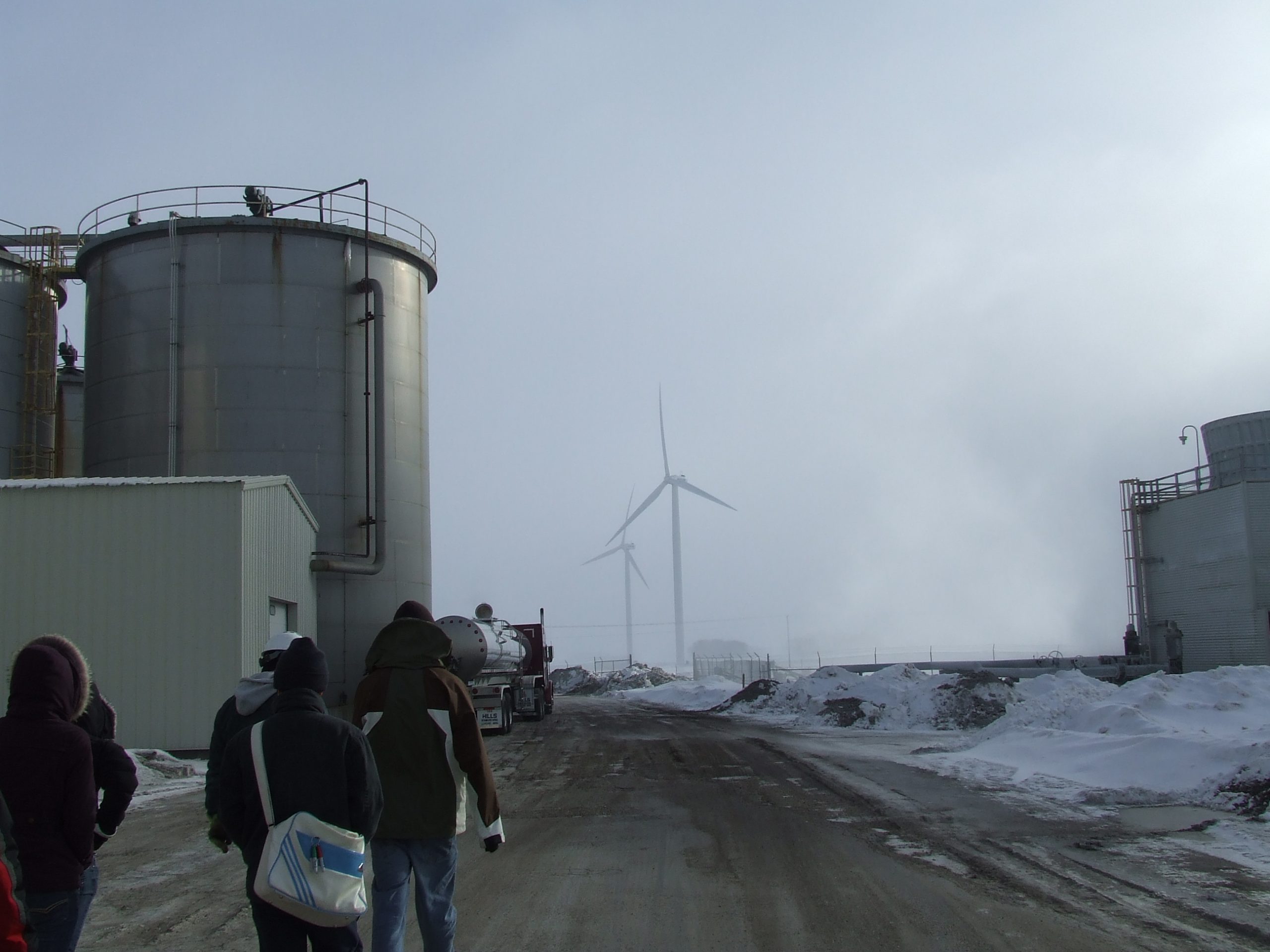 Food to fuel - Geography Blog